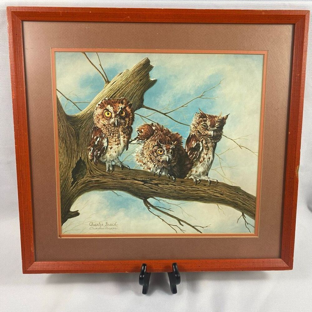 Charles Fracé Screech Owls Print Framed Wildlife Art 18x18 Wall Decor